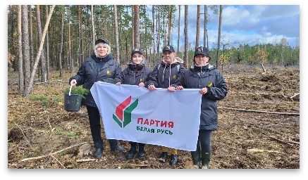 БР8